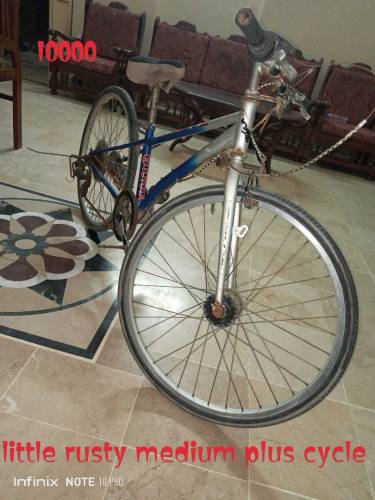 Bicycle imported and local