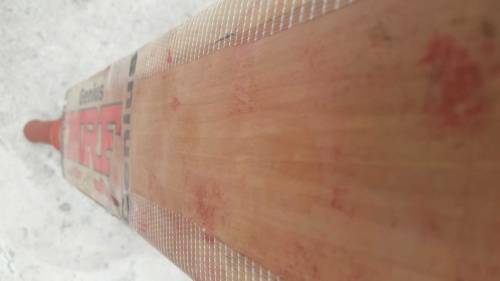 English willow hard ball cricket bat