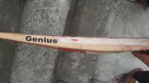 English willow hard ball cricket bat