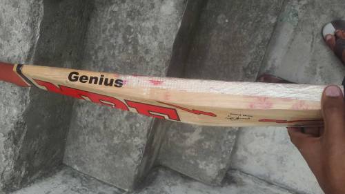 English willow hard ball cricket bat