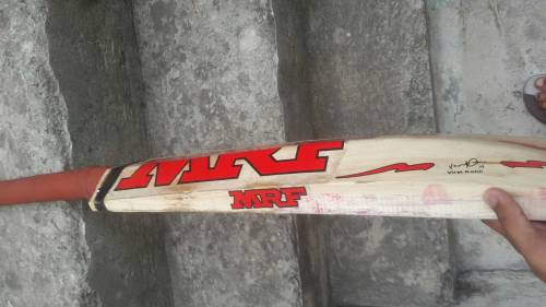 English willow hard ball cricket bat