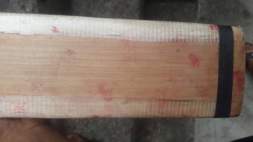 English willow hard ball cricket bat
