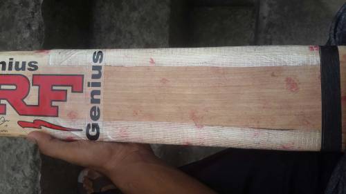 English willow hard ball cricket bat