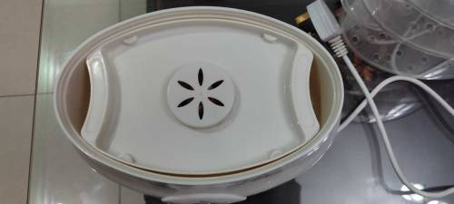 Food steamer 