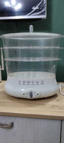 Food steamer 