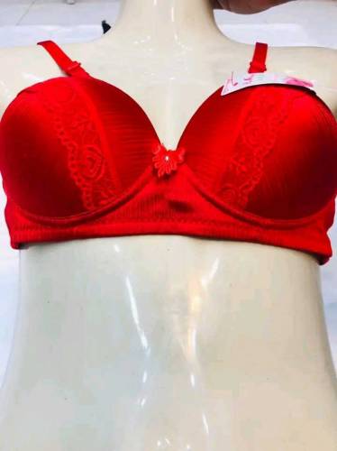 Ladies Brand New Cup Style Bra 
