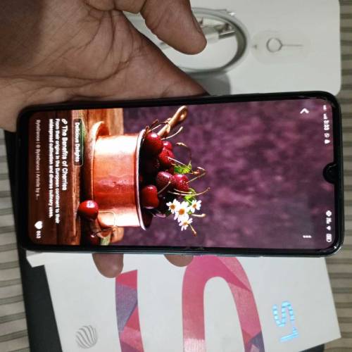 Vivo s1 