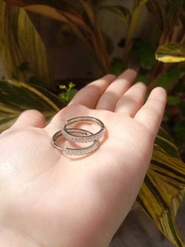 silver stainless earrings 