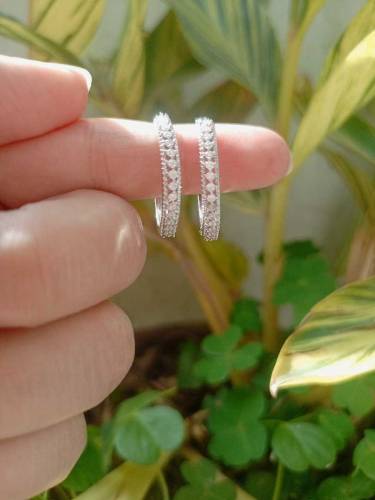 silver stainless earrings 