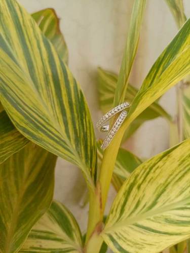 silver stainless earrings 