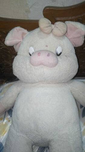 Bear Toy