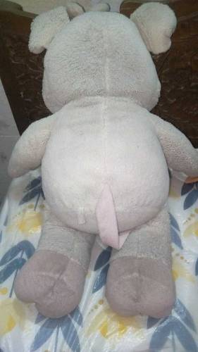 Bear Toy