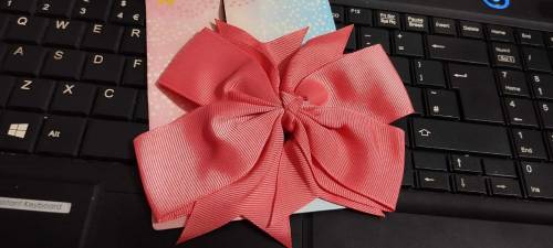 beautiful plain and fancy bow pin