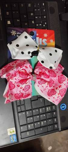 beautiful plain and fancy bow pin