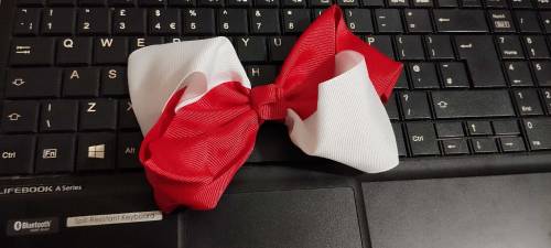 beautiful plain and fancy bow pin