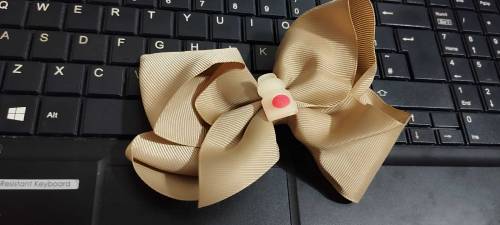 beautiful plain and fancy bow pin