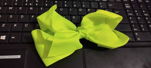 beautiful plain and fancy bow pin
