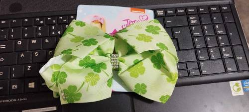 beautiful plain and fancy bow pin