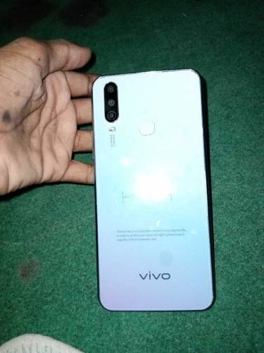 vivo