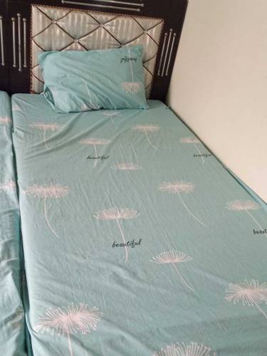 pair of single beds with mattress