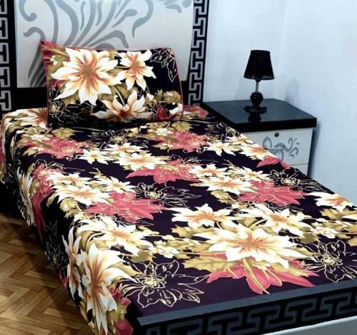 2pc cotton sotton printed bed sheets. 