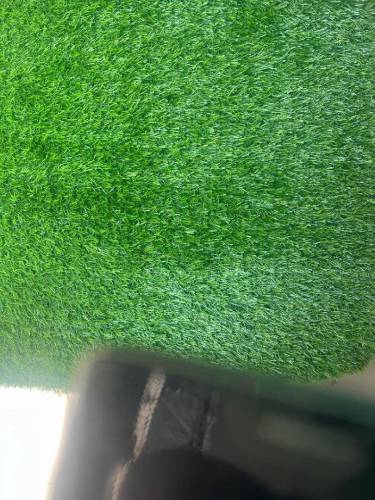 Artificial Grass Carpet/AstroTurf.