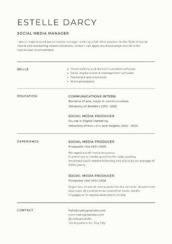 professional CV Maker
