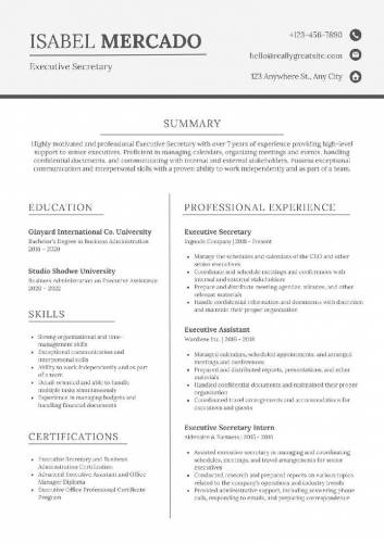 professional CV Maker