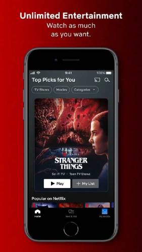 Netflix Mod apk Lifetime updates