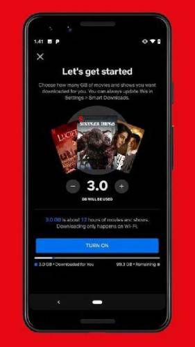 Netflix Mod apk Lifetime updates