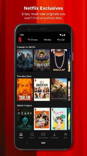 Netflix Mod apk Lifetime updates