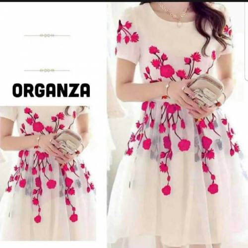 2 pc women stitched organza embrioded dress 