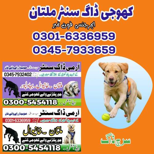 Army Dog Center Kallar kahar ! Khoji Dog in Chakwal ! Jhelum 