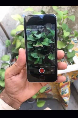 iPhone 6s