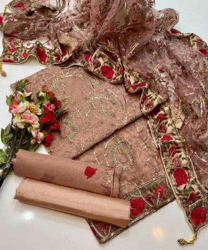 Organza front jaal work shirt 