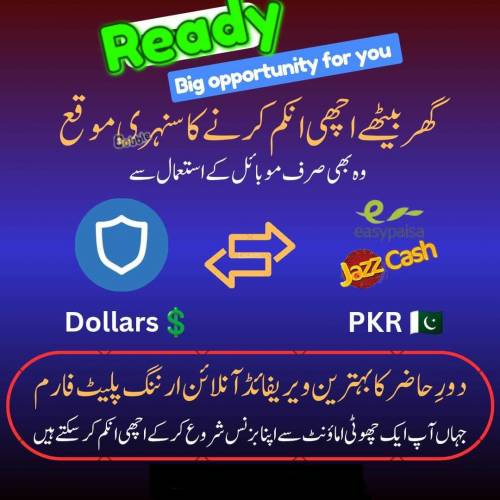 سوشل میڈیا پر ورک کر کے گھر بیٹھے ڈالر کمائیں 