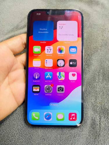 IPHONE 13 PRO MAX