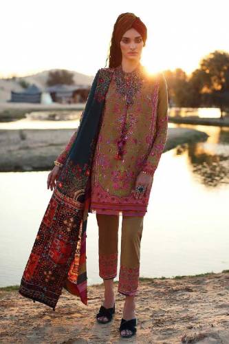 Elan brand new design 