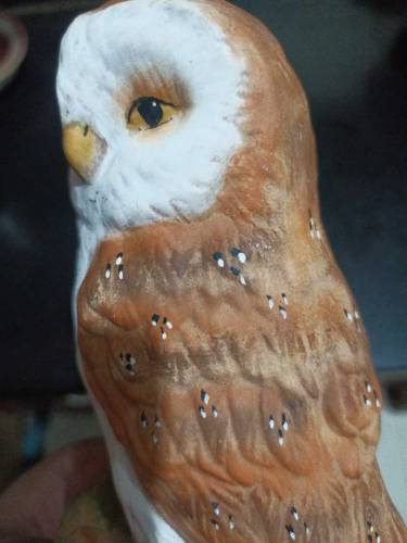 Imported Decoration piece Owl Scripture