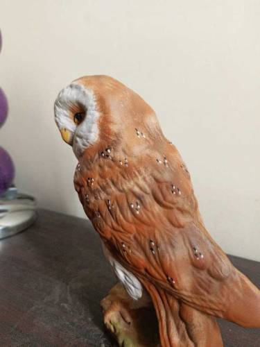 Imported Decoration piece Owl Scripture
