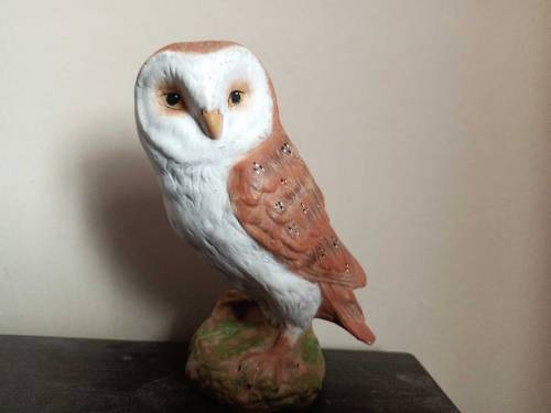 Imported Decoration piece Owl Scripture
