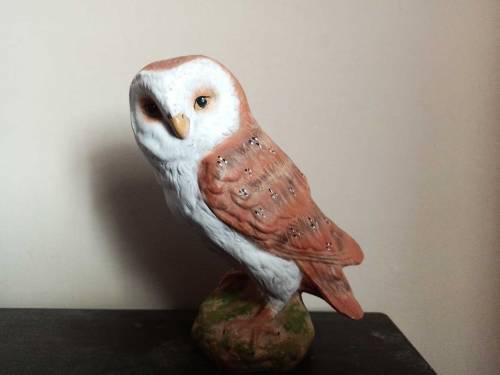 Imported Decoration piece Owl Scripture