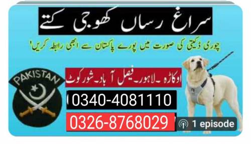 Army dog center Multan 0340-4081110