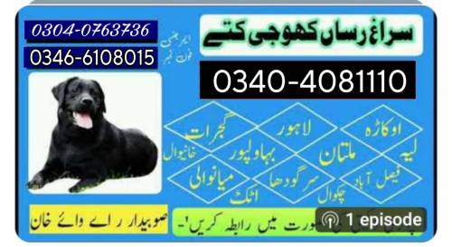 Army Dog Center Okara 03003787282