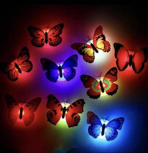 Beautiful LED butterfly light 6pcs 