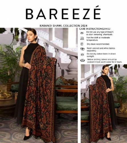woman's karandi embroidered shawl