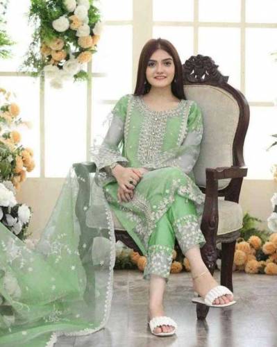 3 pcs Women Stitched Organza Embroidered Suit 