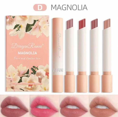 matte finish lipstick pack of 4
