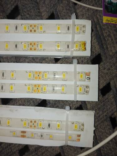 Poultry Farm Lights 24Volts 