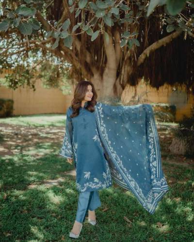 3 Pcs Women's Stitched Organza Embroidered Suit 